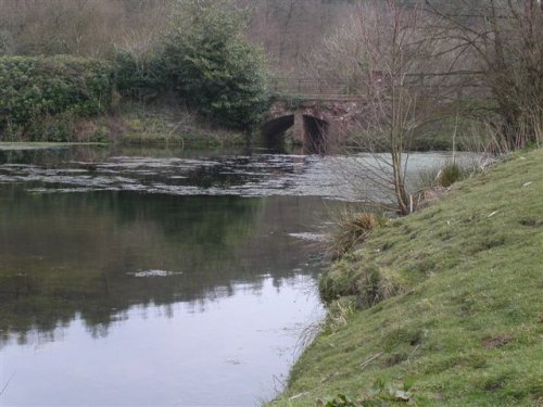 A lake at the Blackdown hills in Somerset