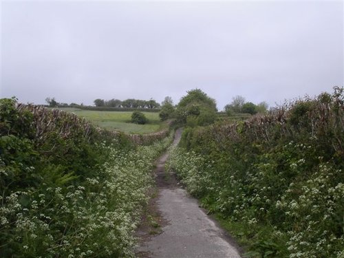Country lane in Somerset