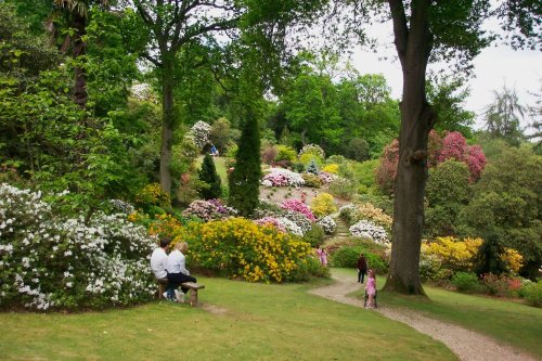 Leonardslee Gardens, Horsham, West Sussex