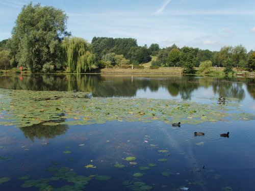 A country park with lots of birds and wildlife, in Little Lever.