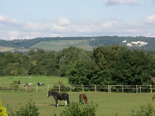 A picture of Sevenoaks