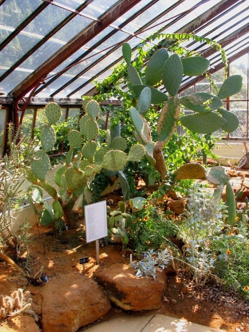 University Botanic Gardens, Cambridge