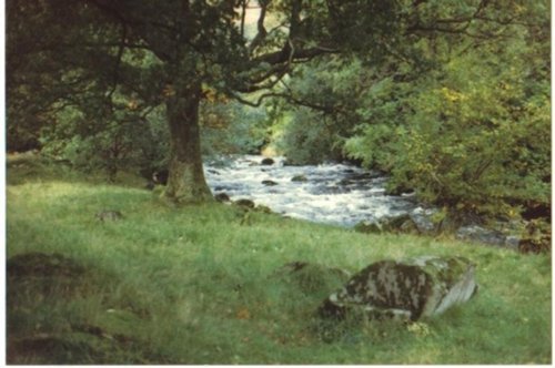 Same stream near Rydal, Lake district
