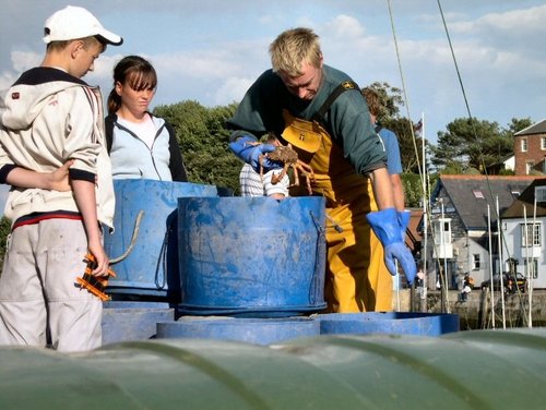 Crab catch, Weymouth, Dorset