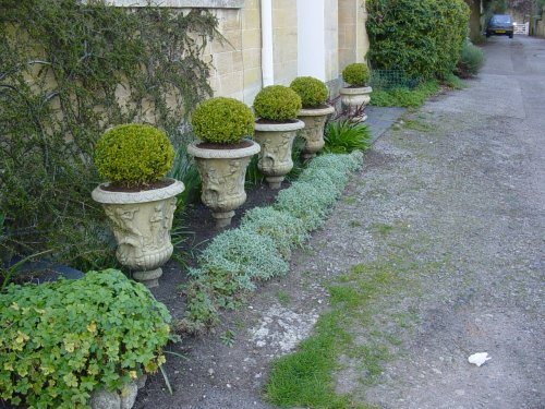 A narrow garden, Bradford-on-Avon, Wiltshire