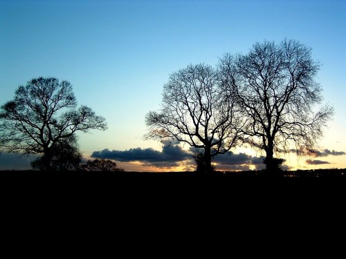 Dramatic landscape, Coleford, Somerset