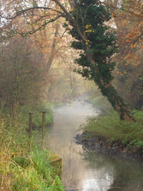 Morden Hall park (Dec 2005)