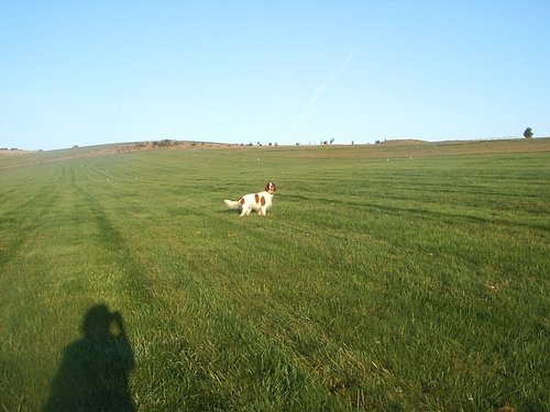 Enjoying the freedom of The Gallops, Beckhampton
