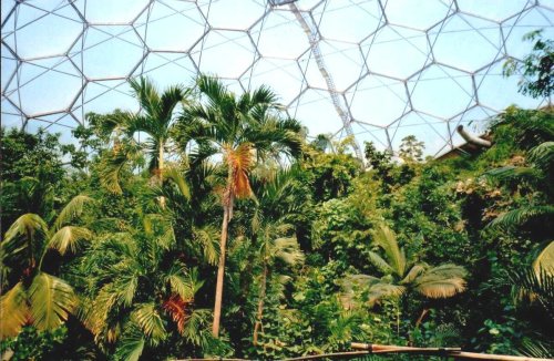 The Eden Project in Bodelva, Cornwall