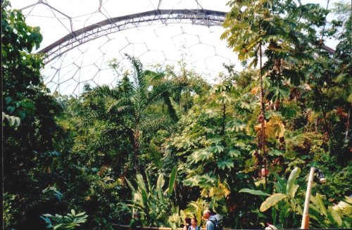A picture of The Eden Project