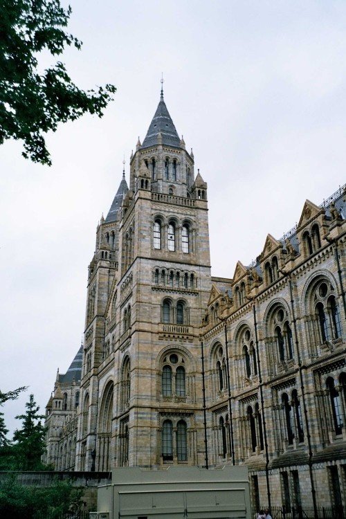London - Natural History Museum, June 2005