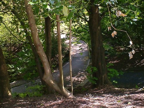 Bold venture Park, Darwen, Lancashire.