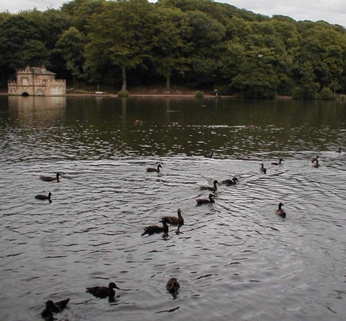 The old Boat house on Newmillerdam, West Yorkshire
