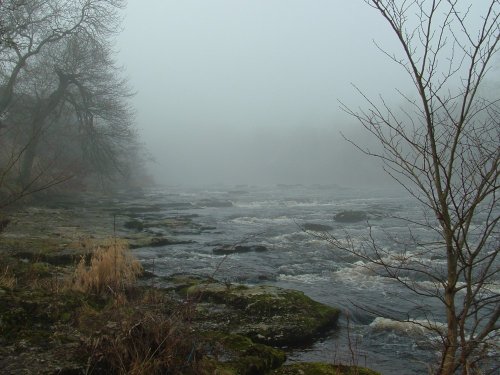 Lower falls at Aysgarth on a damp misty morning
