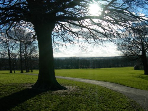 'Graves Park near the farm'in Sheffield