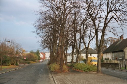 The Lime Tree Walk, looking north towards the town centre, Alloa, Clackmannanshire, Scotland.