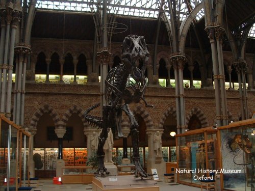 One of my favorite pictures of the University Museum of Natural History.