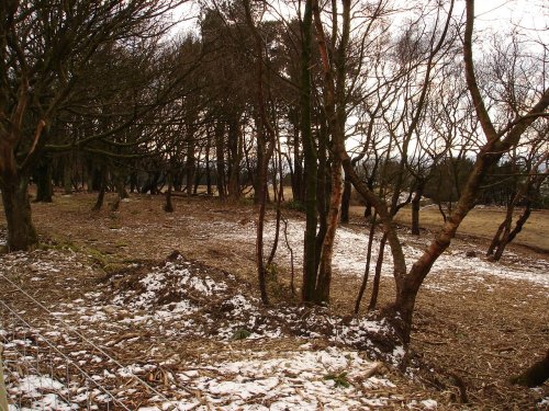 Rivington Pike, Rivington, Lancashire. 03/03/06