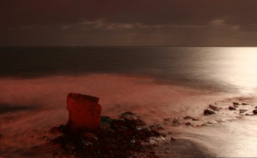 Charlie's Garden, Collywell Bay, Seaton Sluice, Tyne & Wear.