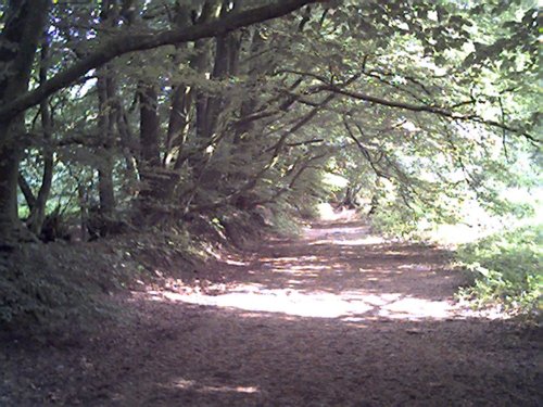 Footpath on top of the Blackdown hills leading to the Wellington monument. Wellington, Somerset.