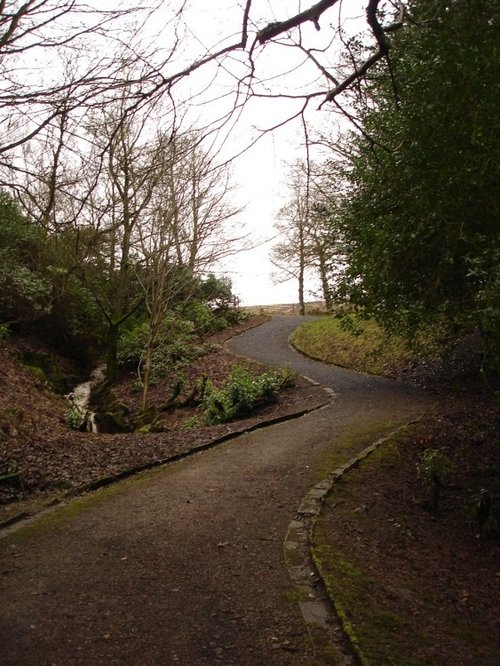 A Picture of Bold Venture,(Top), Park, Darwen, Lancashire.