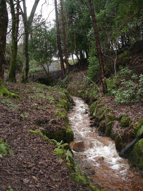 A Picture of Bold Venture,(Top), Park, Darwen, Lancashire.