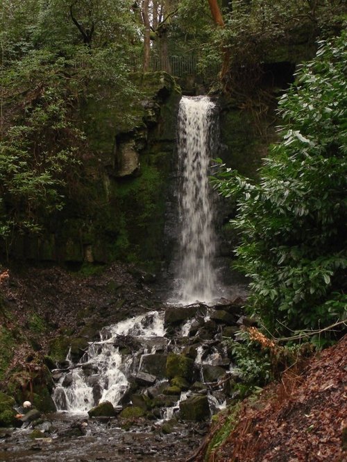 A picture of Bold Venture Park