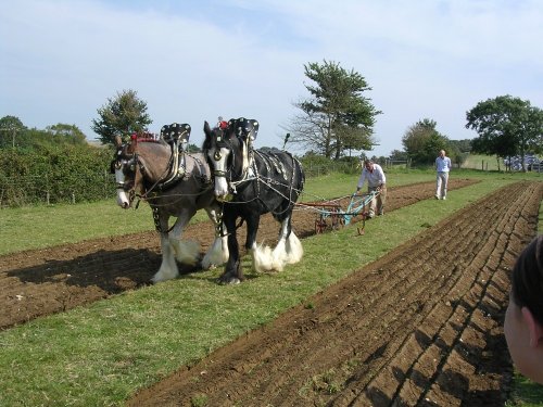 Ploughing at Wolverton Manor on the Isle of Wight.