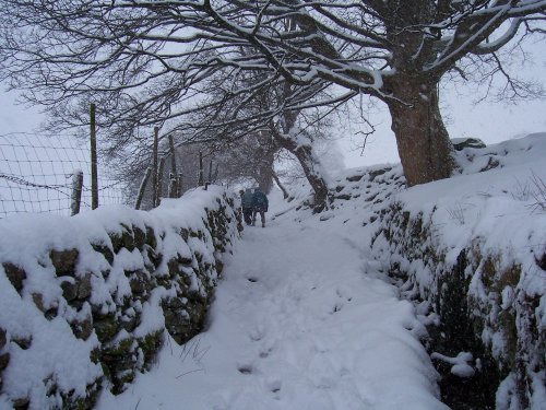Above Ambleside, Cumbria March 06