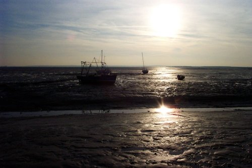 Leigh-on-Sea, Essex. Fishing is still important at Old Leigh.