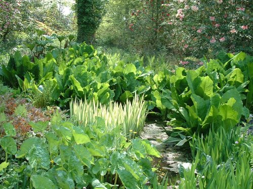 The pond outside the garden shop at Spinners
