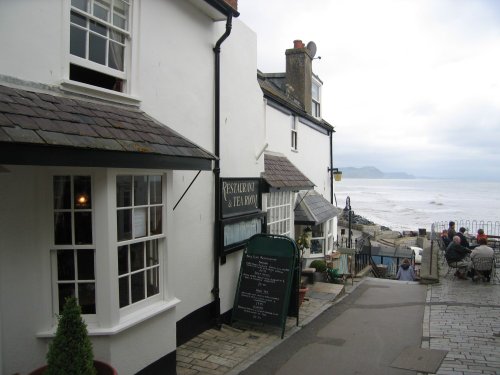Bell Cliff Restaurant & Tea Rooms in Lyme Regis, Dorset. Excellent food and service!