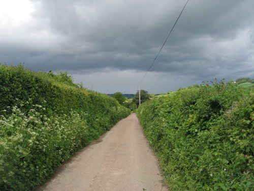 Country lanes near Dalwood