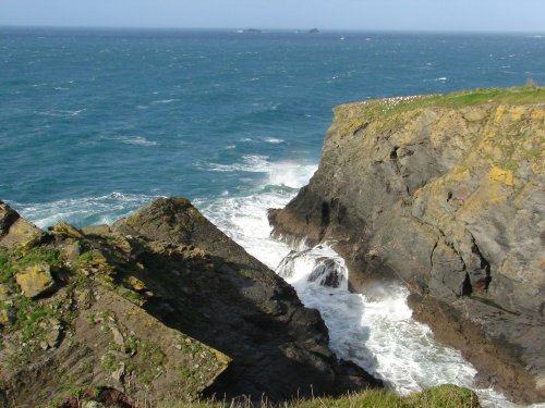 Coastline between Porthcothan and Constantine Bay, Cornwall.