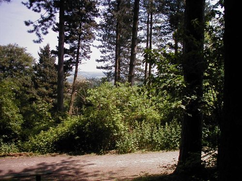 Hartshill Hayes Country Park, Nr Atherstone, North Warwickshire.