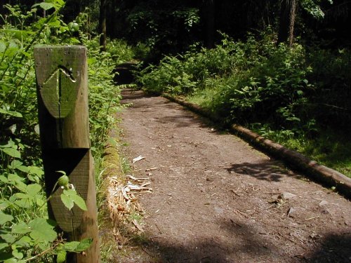 Hartshill Hayes Country Park, Nr Atherstone, North Warwickshire.