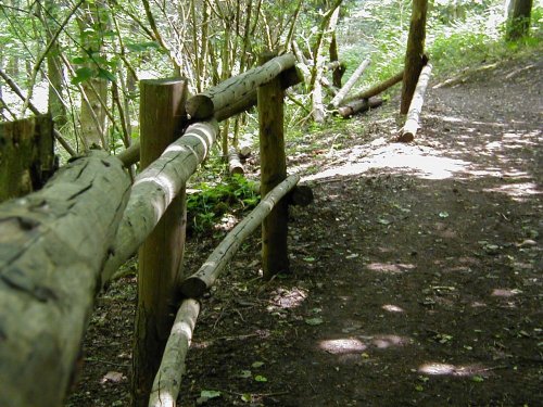 Hartshill Hayes Country Park, Nr Atherstone, North Warwickshire.