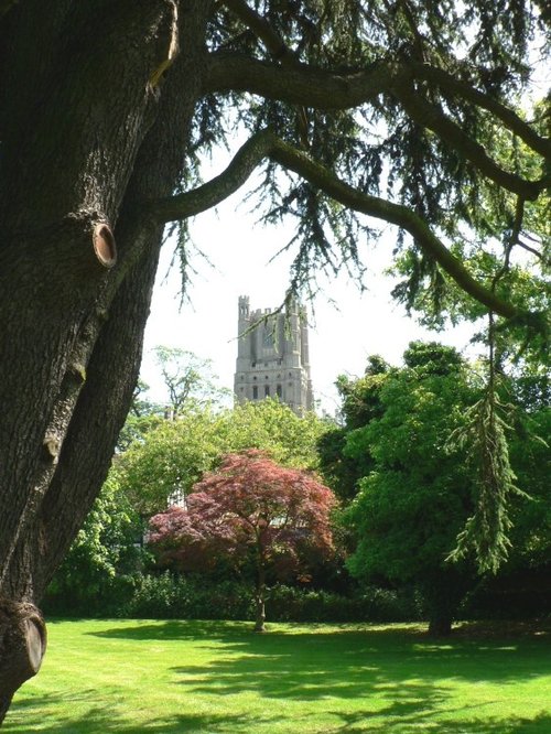 Ely Cathedral from the grounds of Parish Church St Mary's