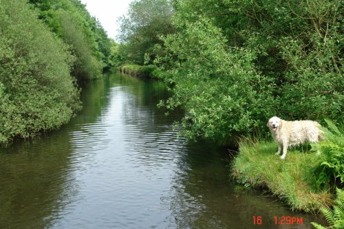 River near Meltham...Huddersfield, West Yorkshire, with 