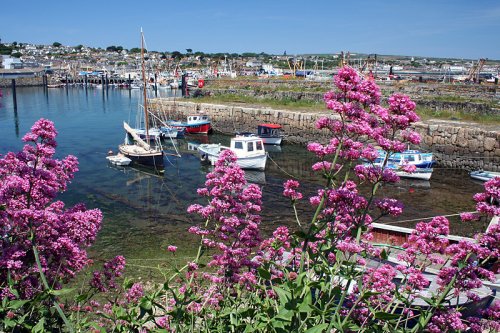 Newlyn in Cornwall