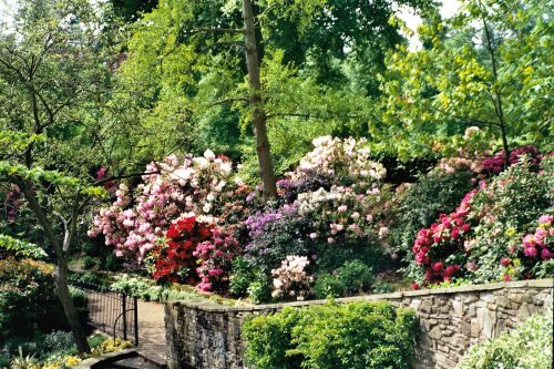 Shrewsbury - Dingle Gardens
