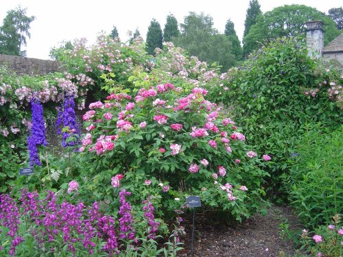 Wakehurst Place, West Sussex