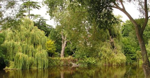 Idyllic Riverside, Shrewsbury