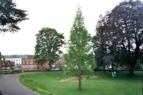 Tonbridge - Castle Gardens