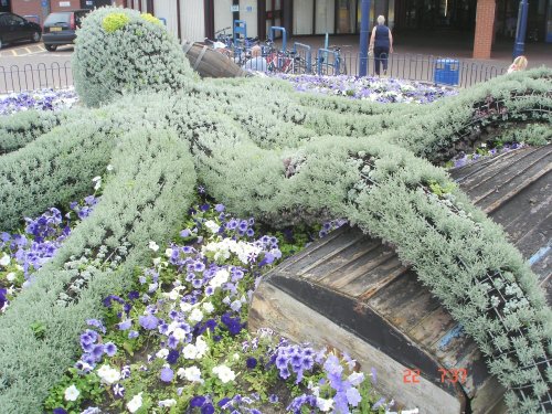 Felixstowe. Octopus at beach..