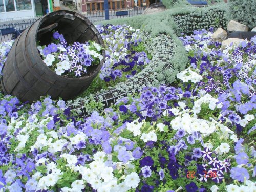 Felixstowe. Flowers at beach..