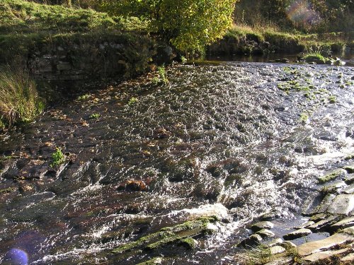 Man-made stream near the lead mines by Allendale.
