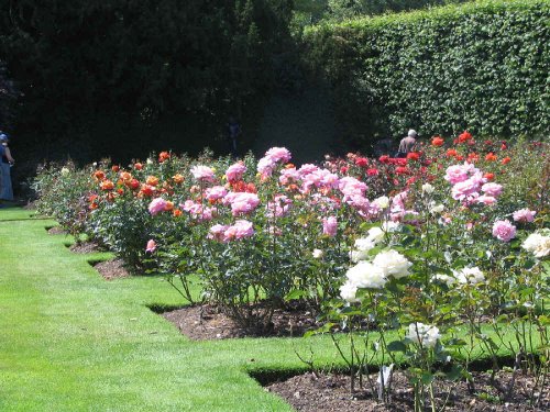 Anglesey Abbey, Near Cambridge