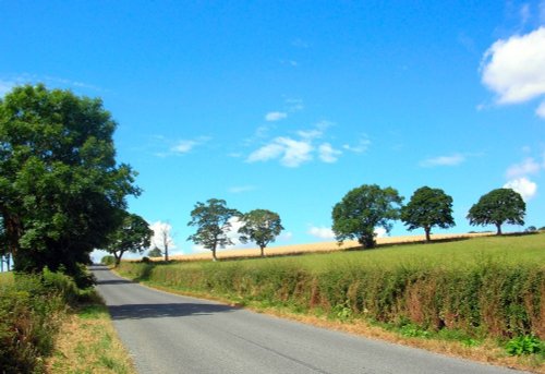 near Ponteland, northumberland.