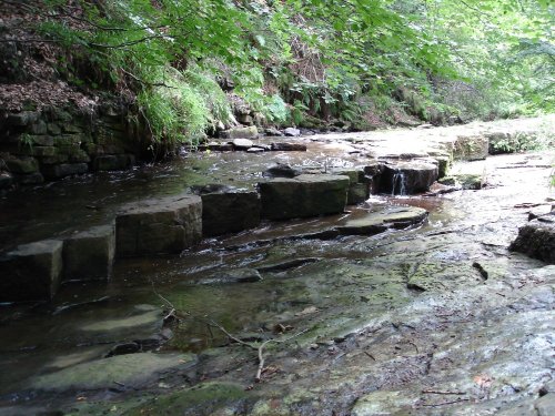 The River through the Woods, Tockholes, Lancashire.
